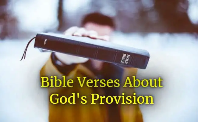 bible verses about God's provision