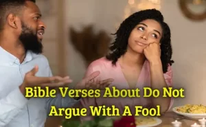 Bible Verses About Do Not Argue With A Fool