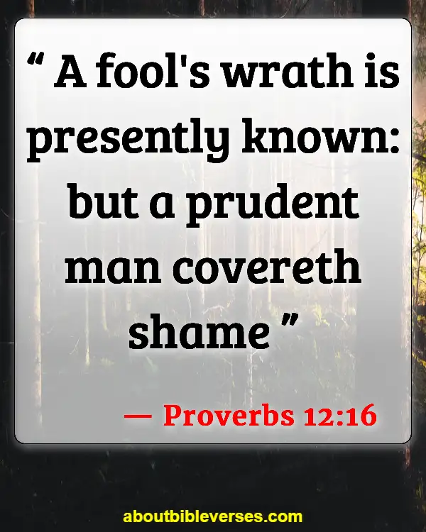 Bible Verses About Apologizing To Someone (Proverbs 12:16)