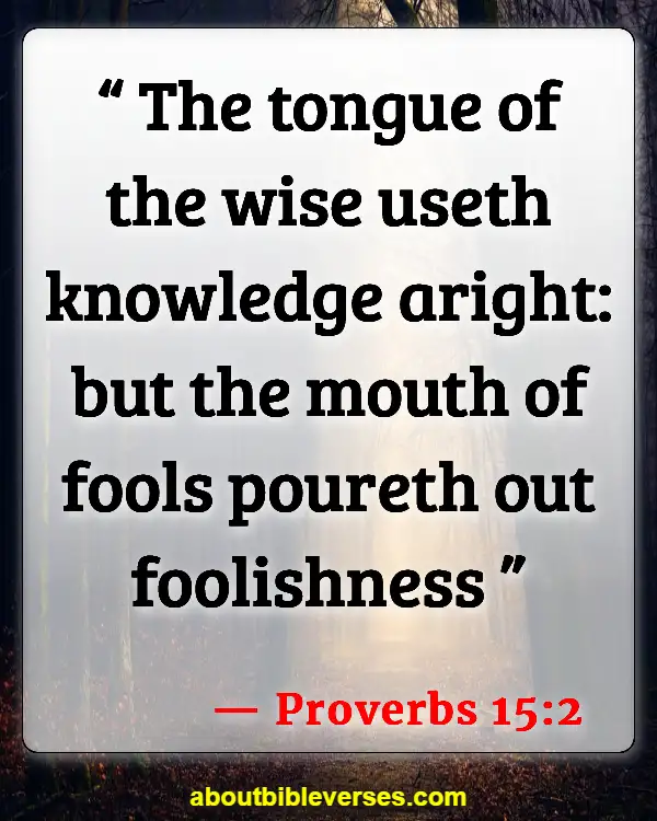 Bible Verses About Do Not Argue With A Fool (Proverbs 15:2)