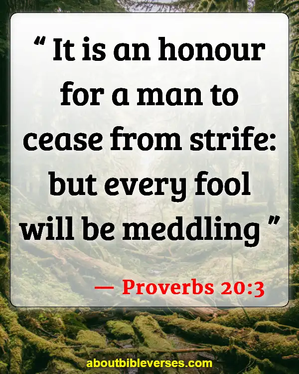 Bible Verses About Do Not Argue With A Fool (Proverbs 20:3)