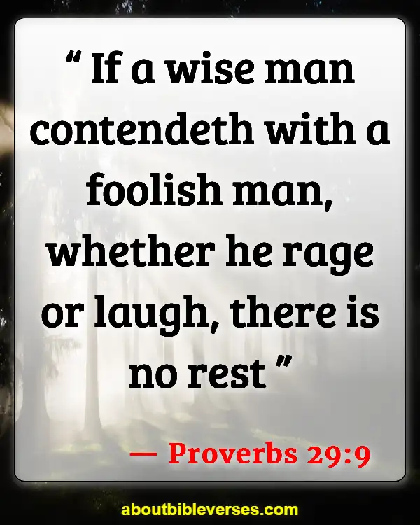 [Best] 13+Bible Verses About Do Not Argue With A Fool - KJV Scriptures