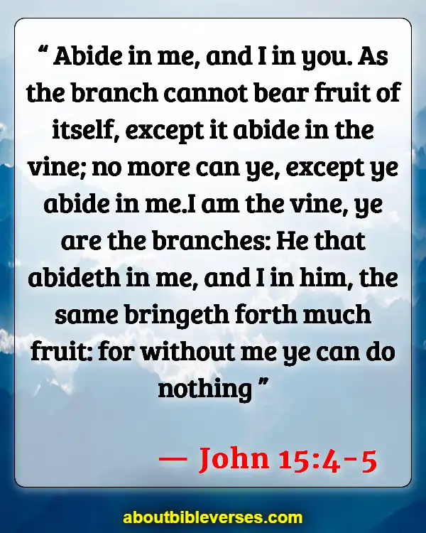 Bible Verses About Partnership With God (John 15:4-5)