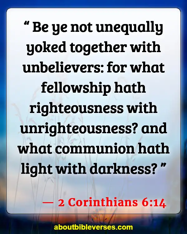 Bible Verses For Pursue Righteousness (2 Corinthians 6:14)