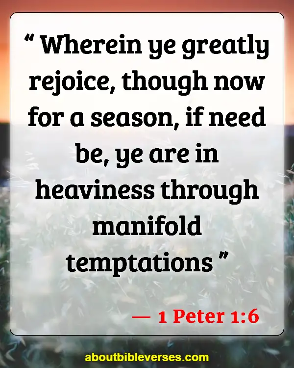 Bible Verse About Job Suffering (1 Peter 1:6)