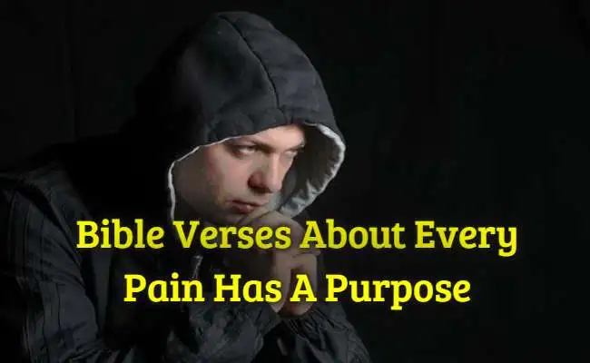 [Best] 17+Bible Verses About Every Pain Has A Purpose – KJV Scriptures