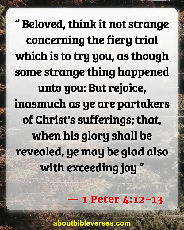 Bible Verses About Problems And Trials (1 Peter 4:12-13)