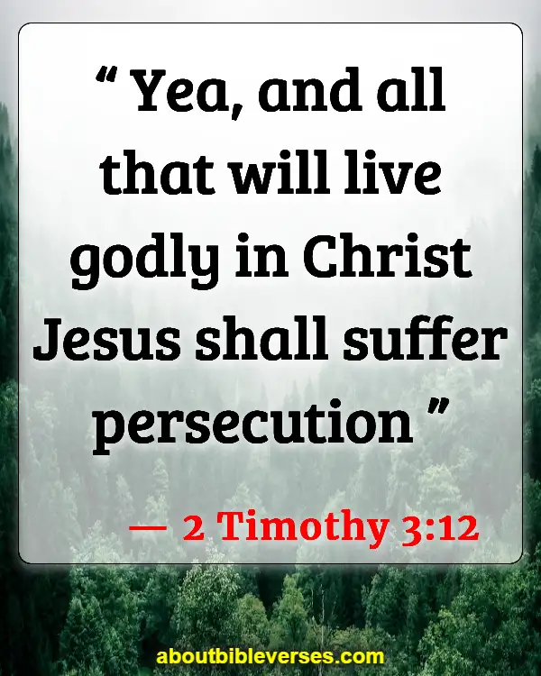 Bible Verses Bless Those Who Persecute You (2 Timothy 3:12)