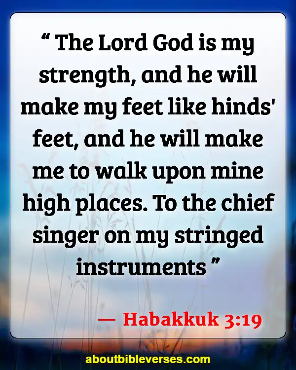 Happy Morning Tuesday Blessings Bible Verse (Habakkuk 3:19)