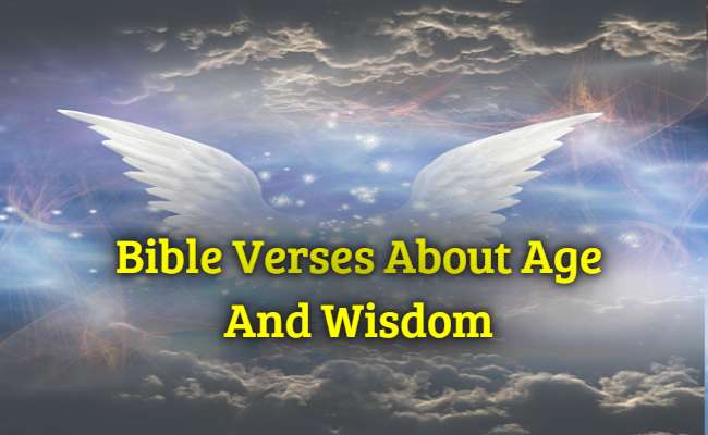 Bible Verses About Age And Wisdom