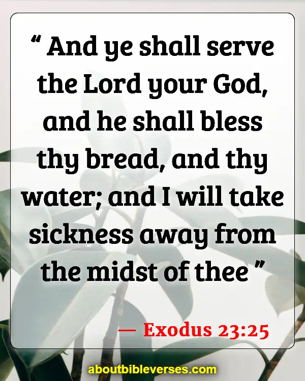 Bible Verses About Worry And Sickness (Exodus 23:25)
