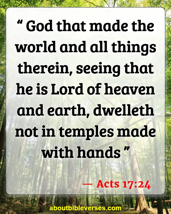 Bible Verses About God's Beautiful Creation (Acts 17:24)