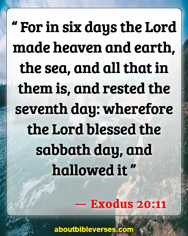 Bible Verses About God's Beautiful Creation (Exodus 20:11)