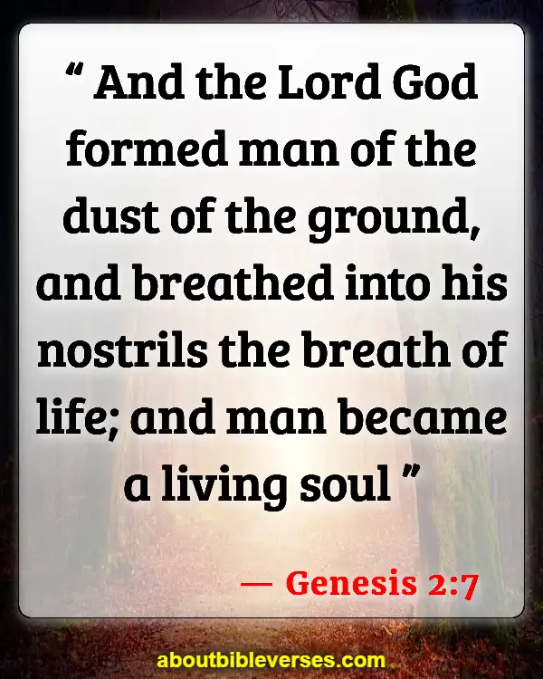 Bible Verses About Life Begins At The First Breath (Genesis 2:7)