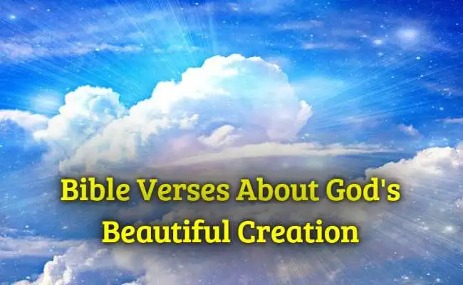 Bible Verses About God's Beautiful Creation