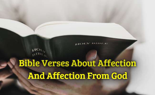 Bible Verses About Affection And affection from god