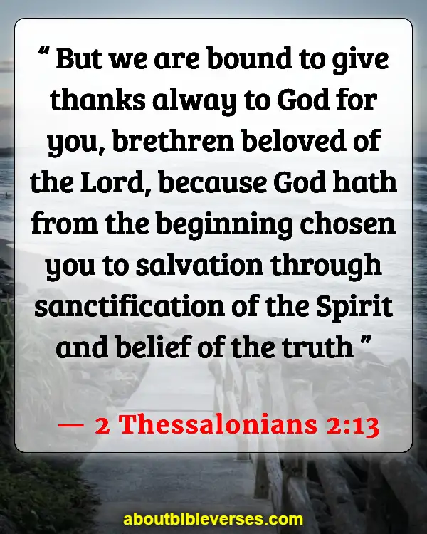 Bible Verses About Predestination (2 Thessalonians 2:13)