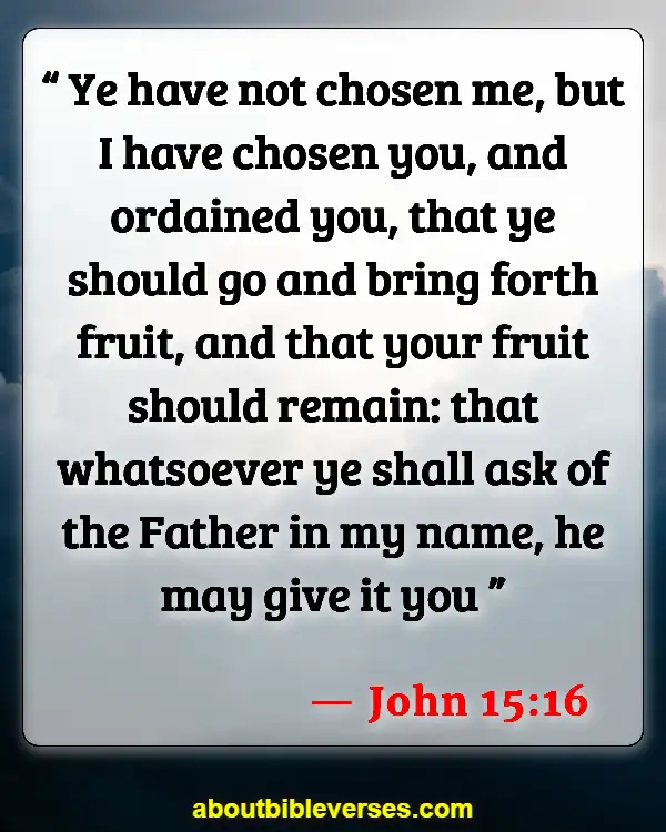 Bible Verses About Predestination (John 15:16)