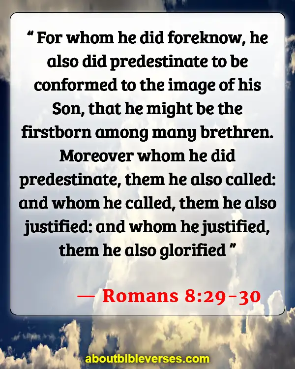 Bible Verses About Predestination (Romans 8:29-30)