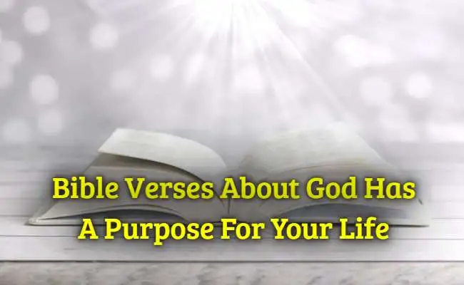 [Best] 16+Bible Verses About God Has A Purpose For Your Life – KJV Scripture