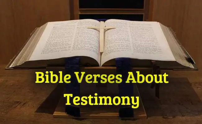 [Best] 19+Bible Verses About Testimony – KJV Scripture