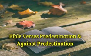 Bible Verses Predestination & Against Predestination
