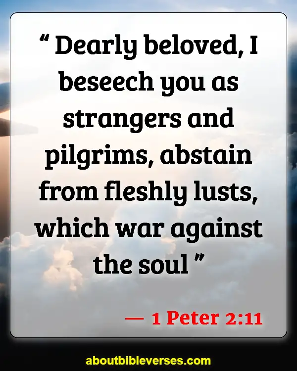 Bible Verses For Self-Pleasure (1 Peter 2:11)