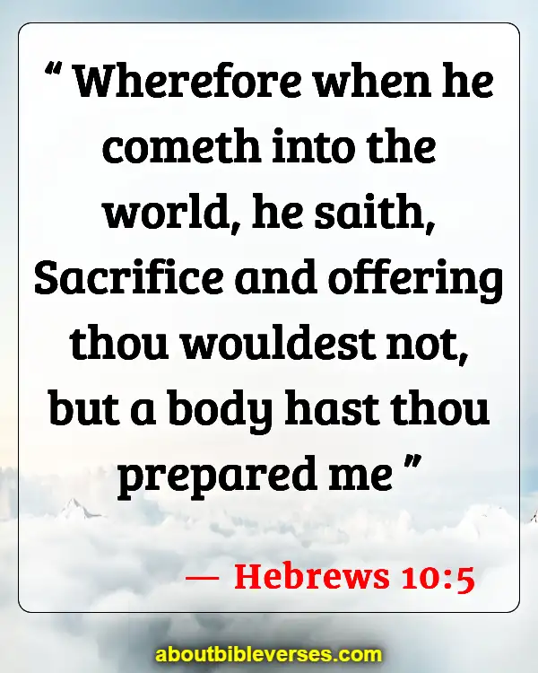 Bible Verses About Jesus Suffering On The Cross (Hebrews 10:5)