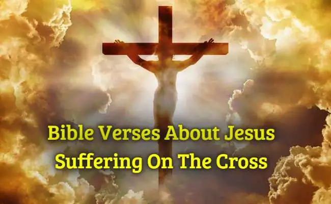 Bible Verses About Jesus Suffering On The Cross