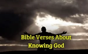Bible Verses About Knowing God