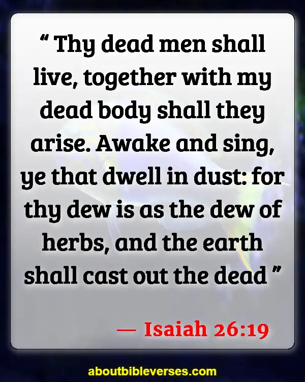 Bible Verses About Resurrection Of Jesus (Isaiah 26:19)