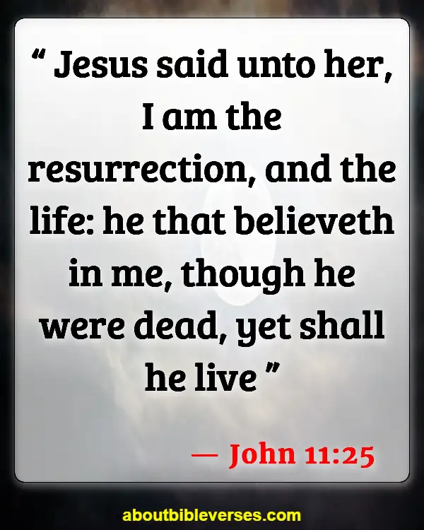 Verses In The Bible About Life (John 11:25)
