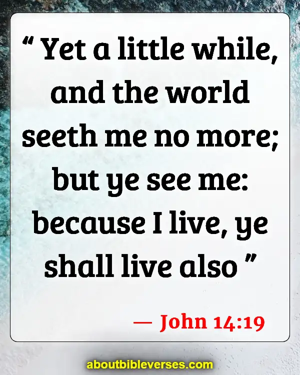 Bible Verses About Resurrection Of Jesus (John 14:19)