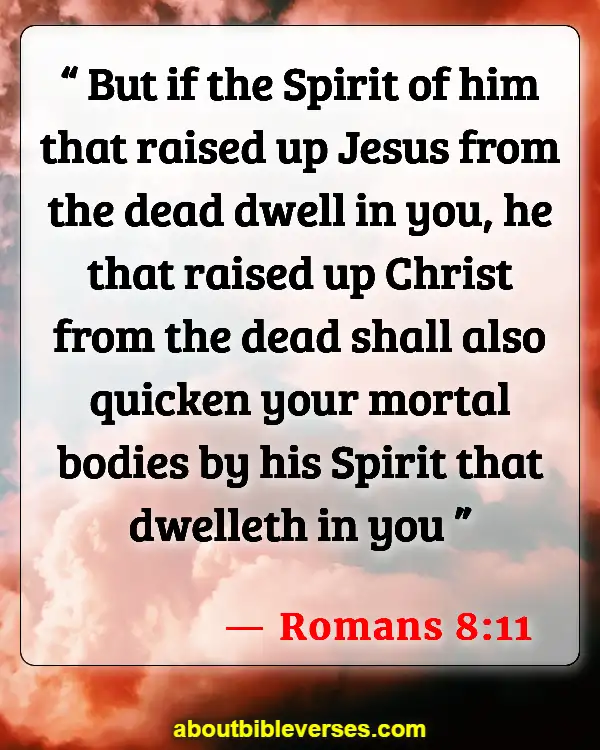 today-s-bible-verse-romans-8-11-with-explanation-bible-verses