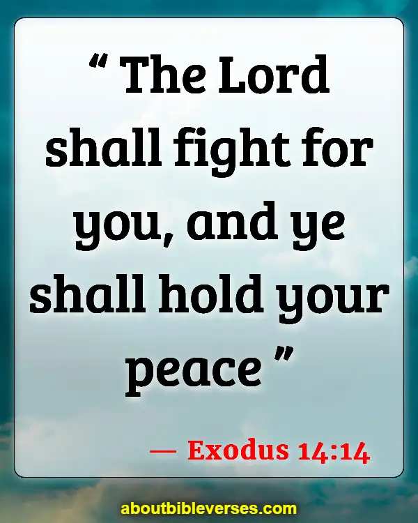 Bible Verses For War Against Enemies (Exodus 14:14)
