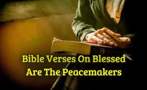 Bible Verses On Blessed Are The Peacemakers