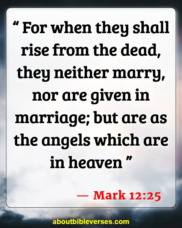 Husband And Wife Reunited In Heaven Bible Verses (Mark 12:25)