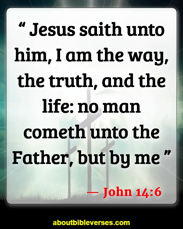 Bible Verses About False Teachers (John 14:6)