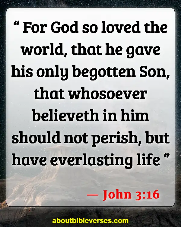 Bible Verses About Celebrating Life After Death (John 3:16)