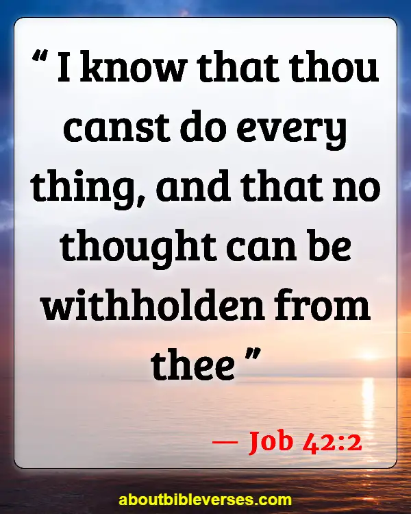 Bible Verses About God's Sovereignty (Job 42:2)