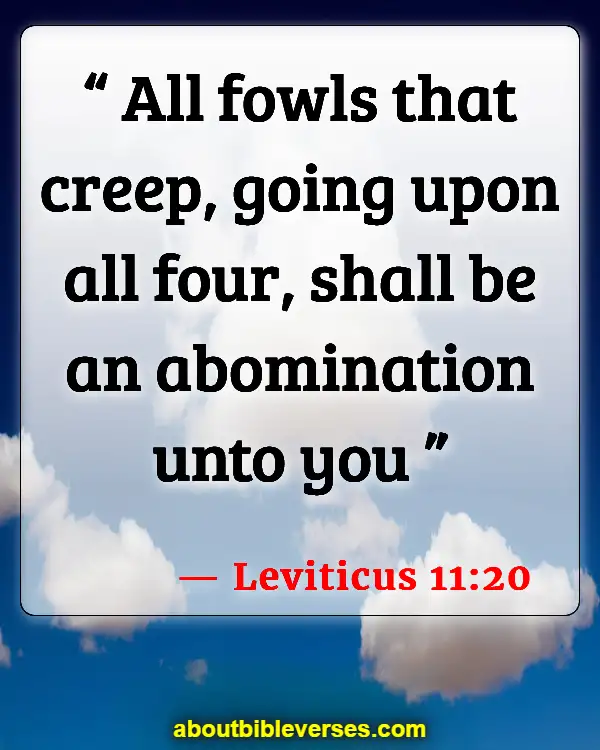 Bible Verses About Abomination (Leviticus 11:20)