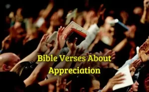 Bible Verses About Appreciation