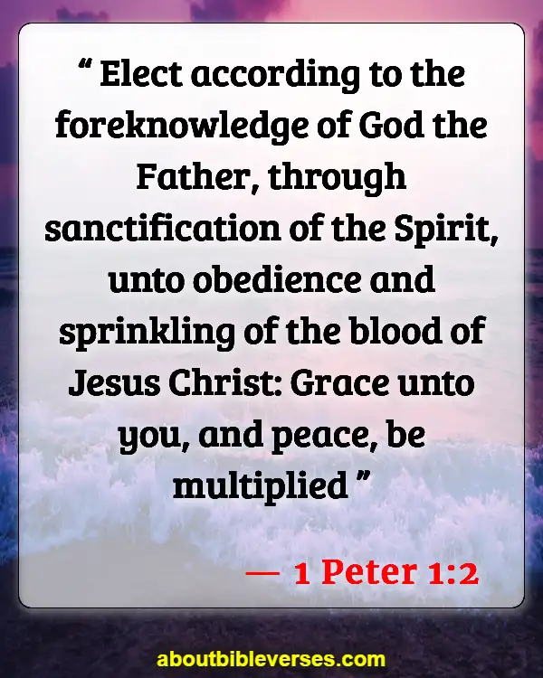Bible Verses About Preaching To Unbelievers (1 Peter 1:2)