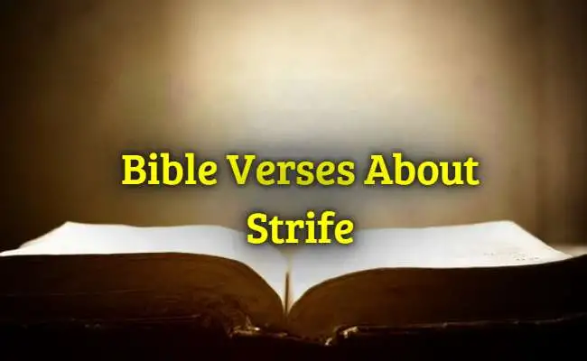 Bible Verses About Strife