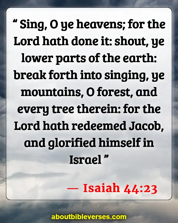 Bible Verses About Taking Care Of The Environment (Isaiah 44:23)
