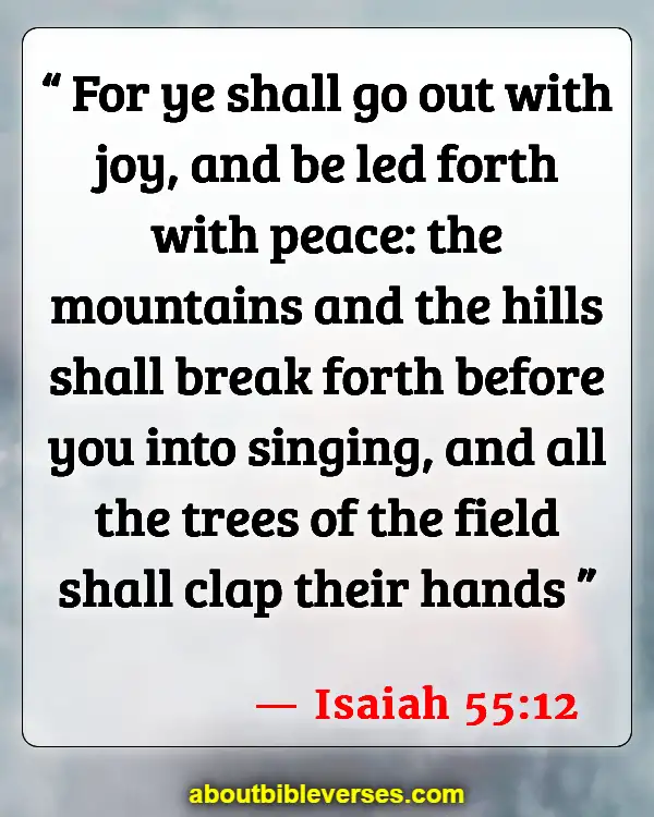 Bible Verses About Taking Care Of The Environment (Isaiah 55:12)