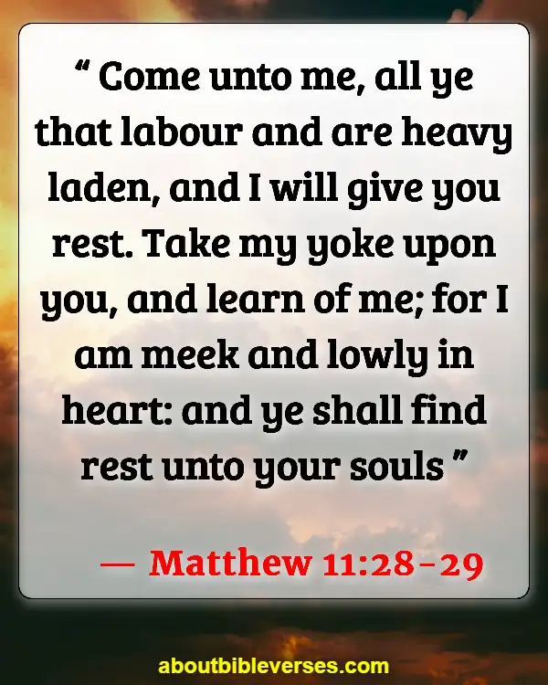 Bible Verses About Being Tired Of Life (Matthew 11:28-29)