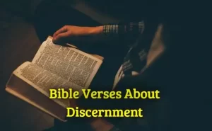 Bible Verses About Discernment