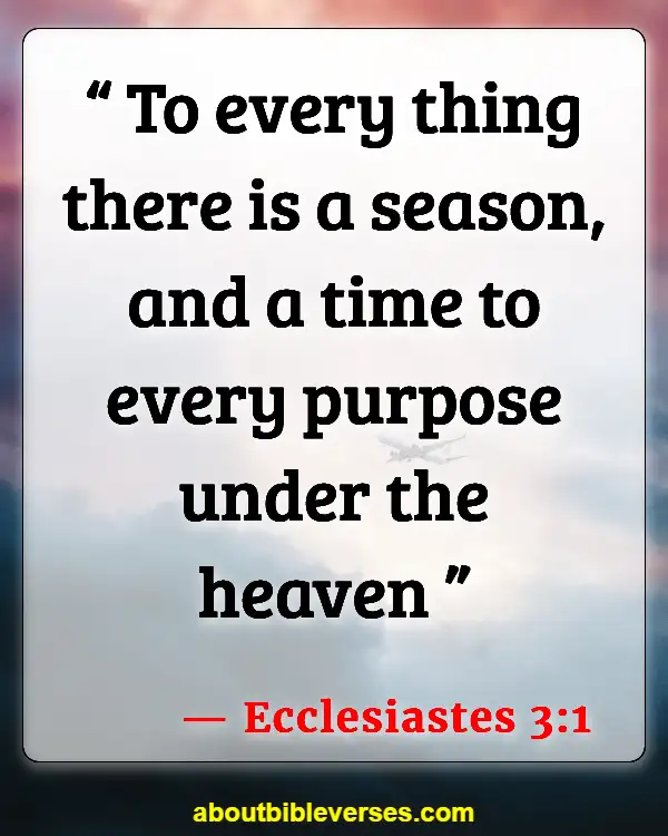 Bible Verses For Self-Pleasure (Ecclesiastes 3:1)