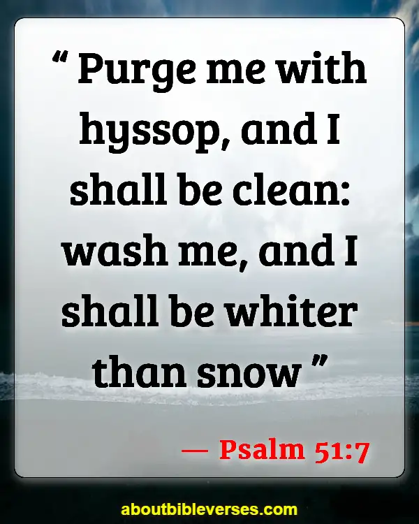 Bible Verses About Cleanliness (Psalm 51:7)